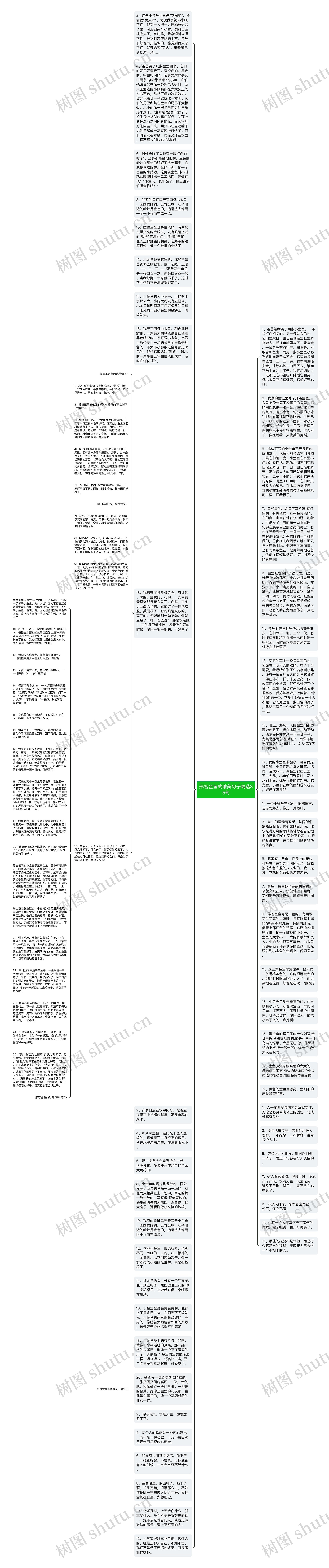 形容金鱼的唯美句子精选35句思维导图