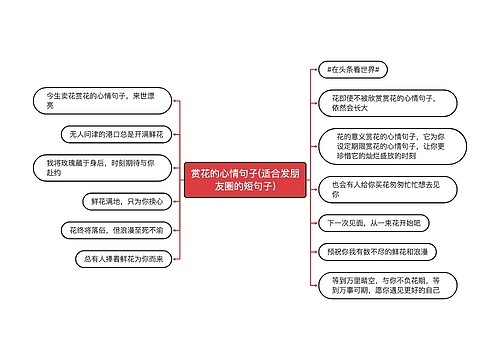 赏花的心情句子(适合发朋友圈的短句子)