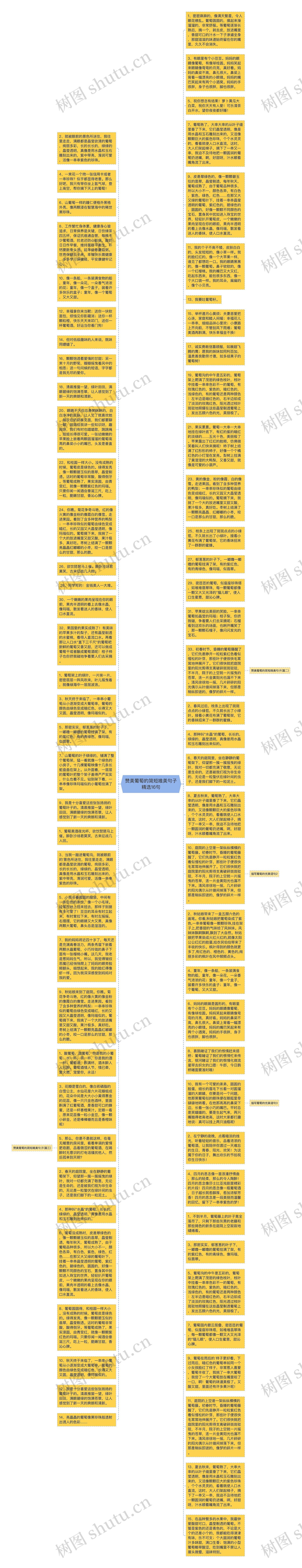 赞美葡萄的简短唯美句子精选16句思维导图