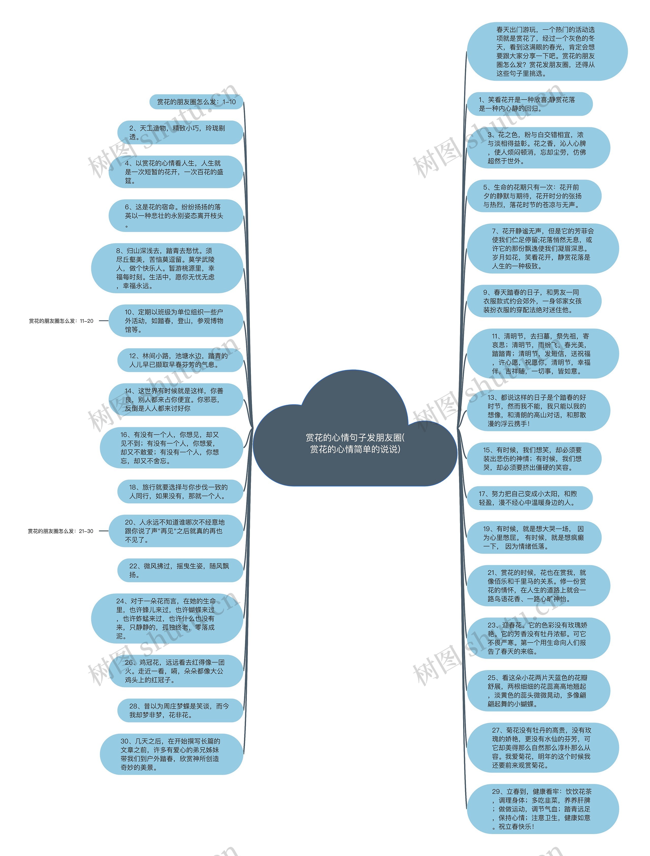 赏花的心情句子发朋友圈(赏花的心情简单的说说)思维导图