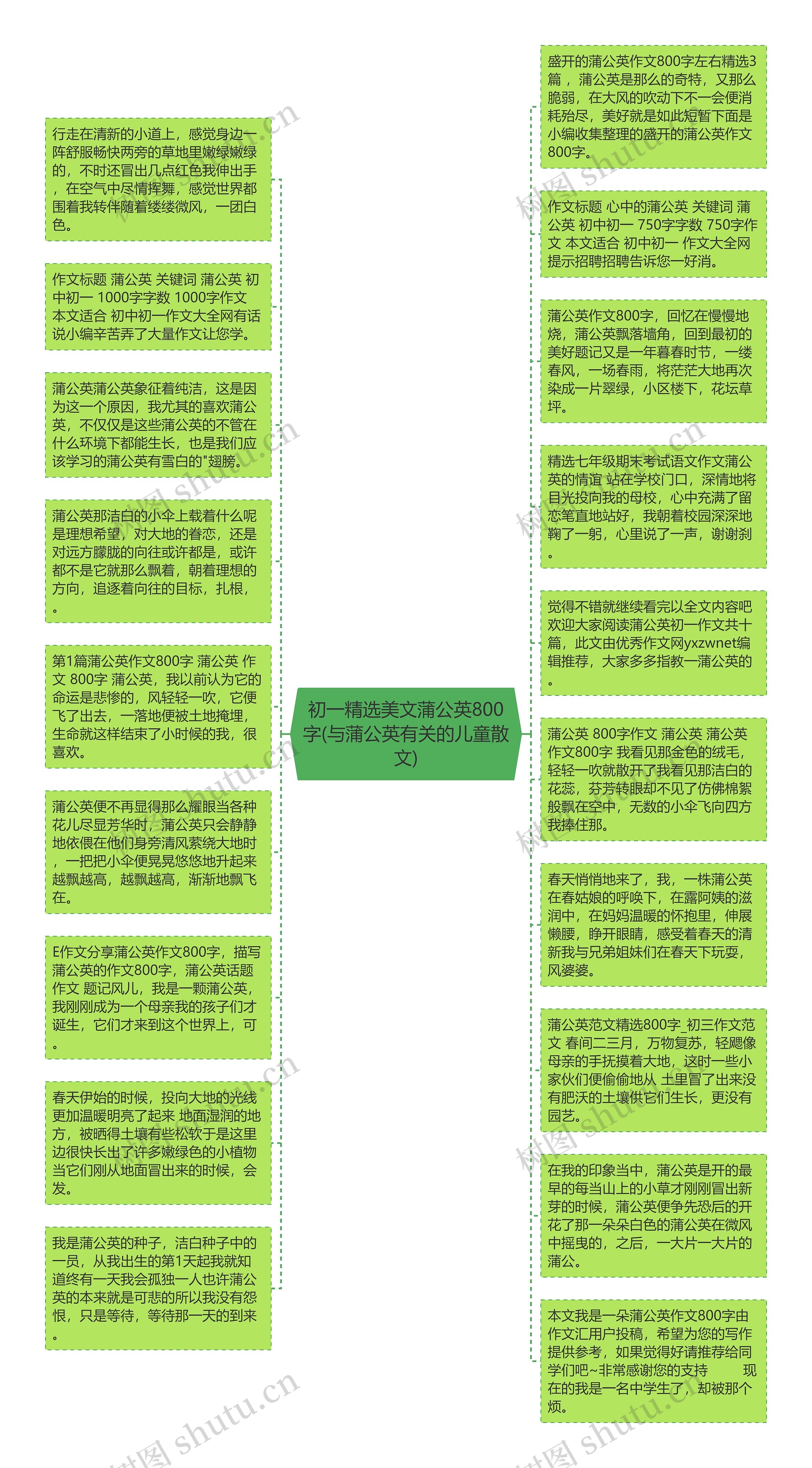 初一精选美文蒲公英800字(与蒲公英有关的儿童散文)