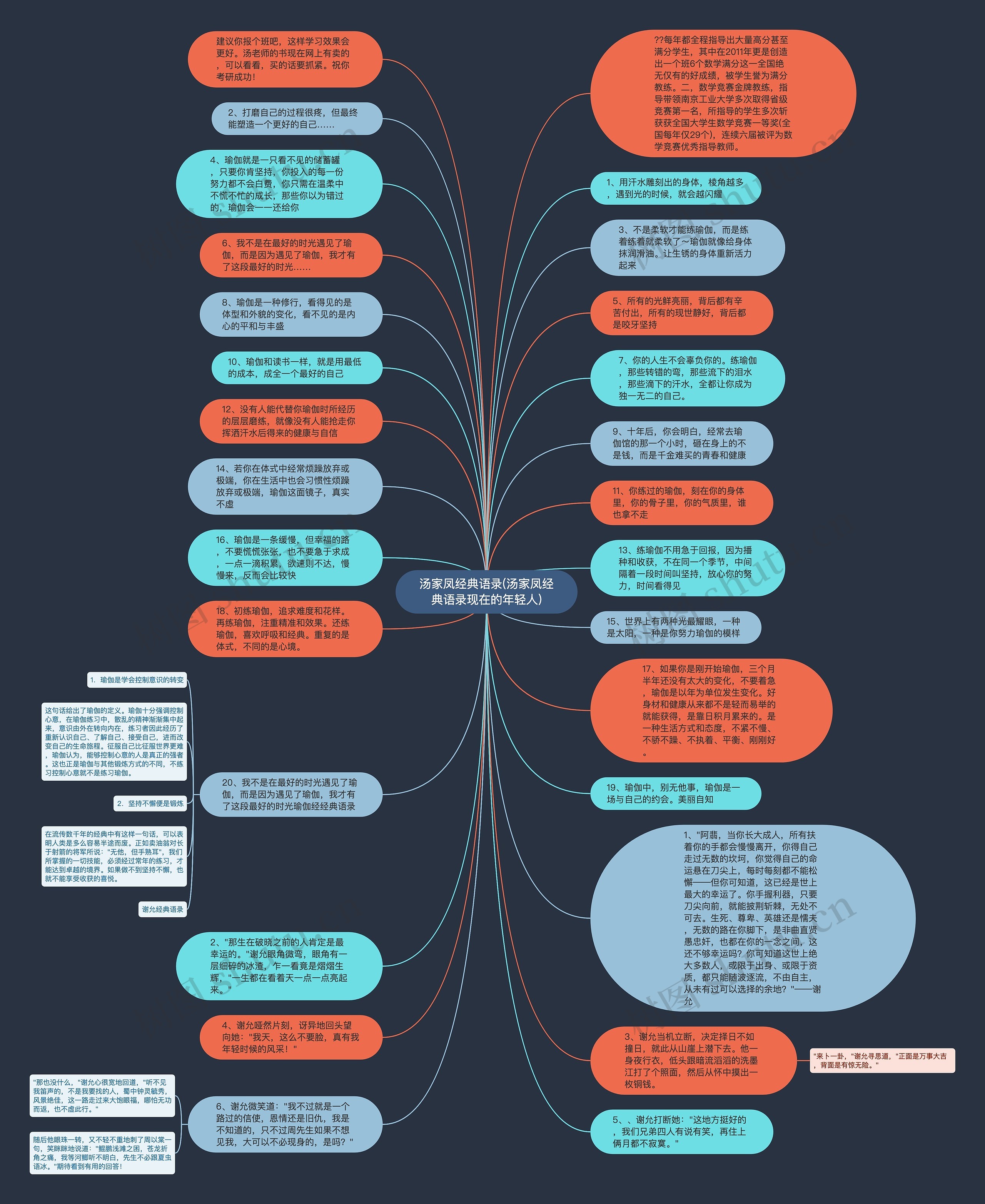 汤家凤经典语录(汤家凤经典语录现在的年轻人)思维导图