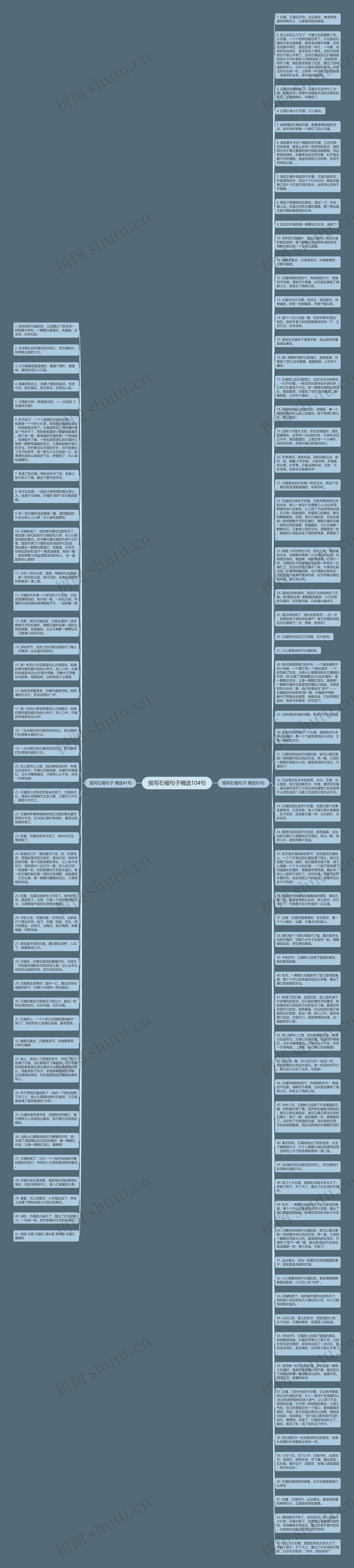 描写石榴句子精选104句思维导图