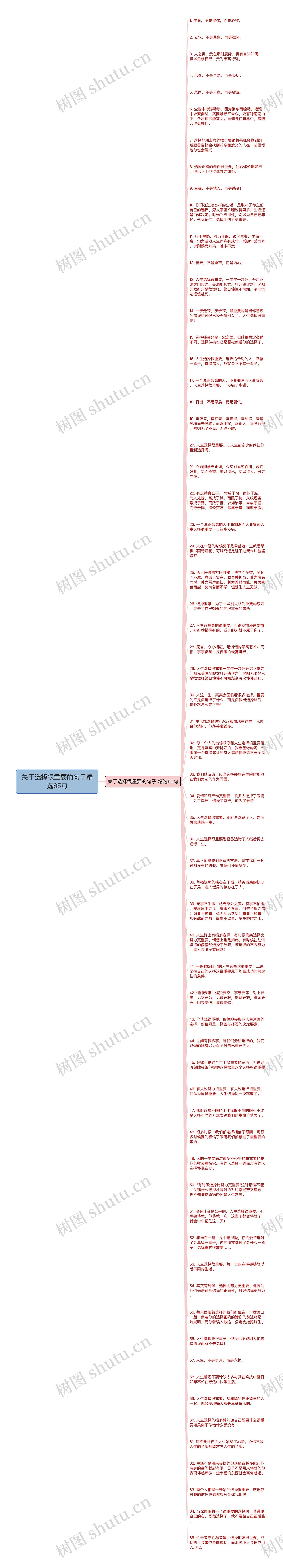 关于选择很重要的句子精选65句思维导图