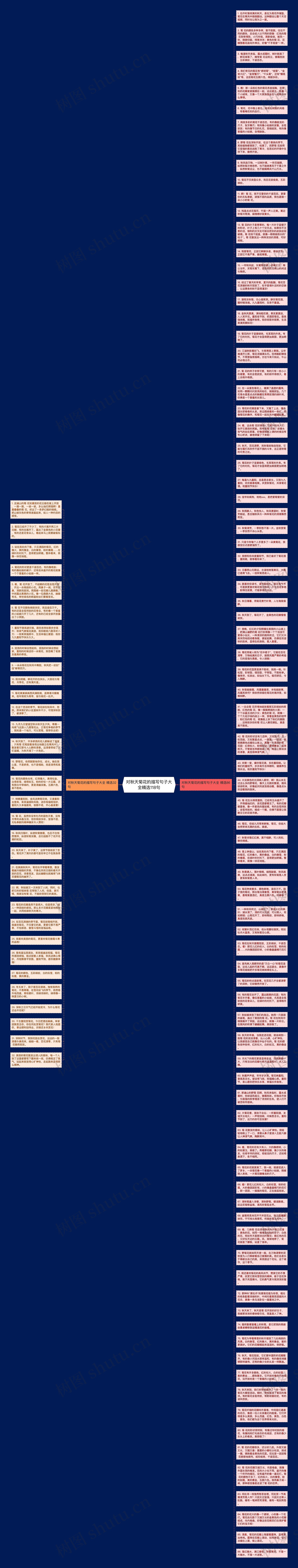 对秋天菊花的描写句子大全精选118句思维导图