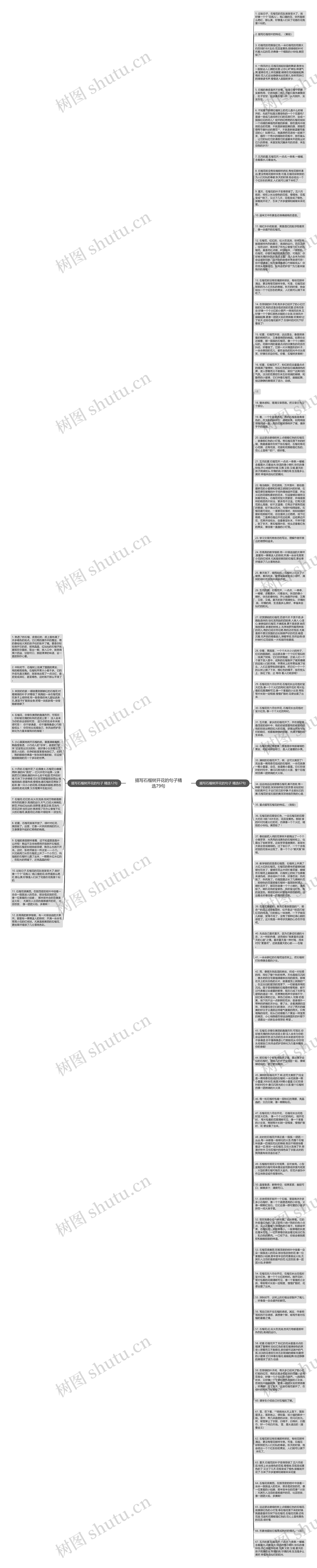 描写石榴树开花的句子精选79句思维导图
