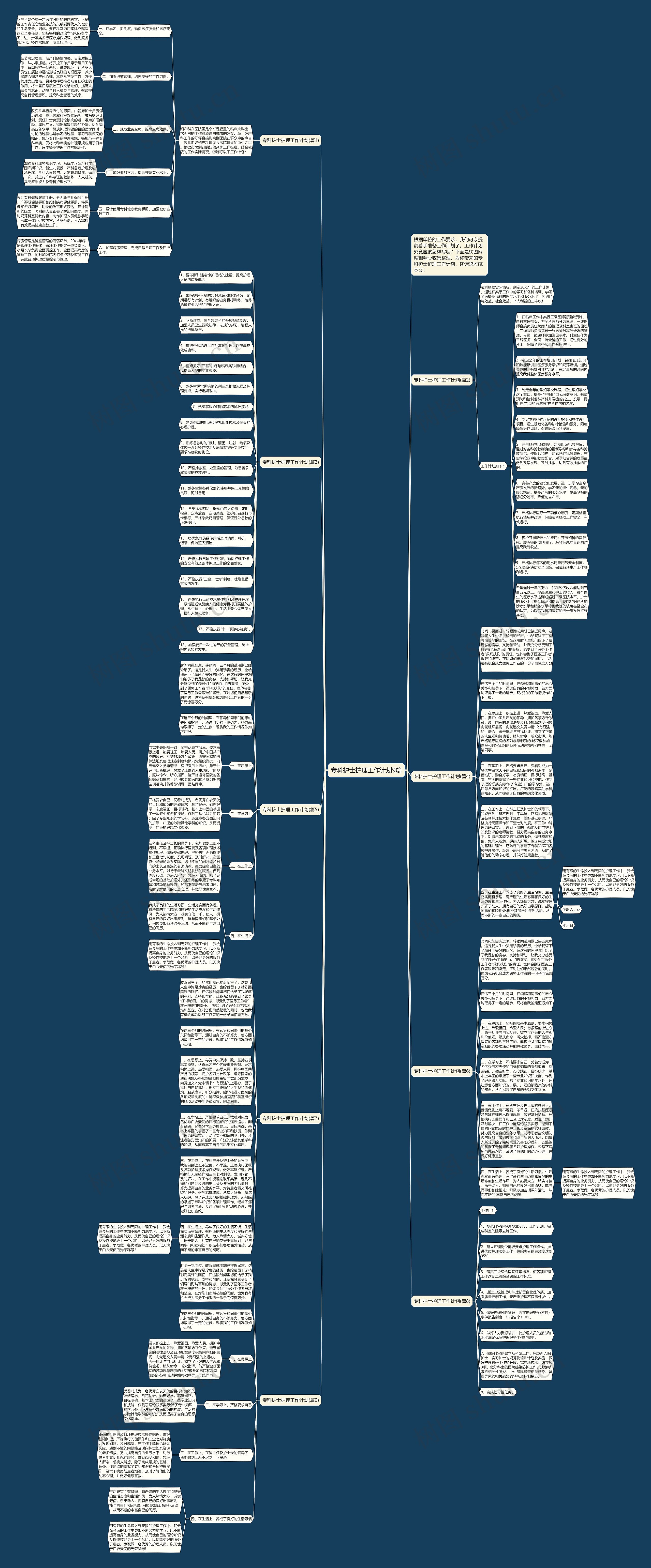 专科护士护理工作计划9篇思维导图