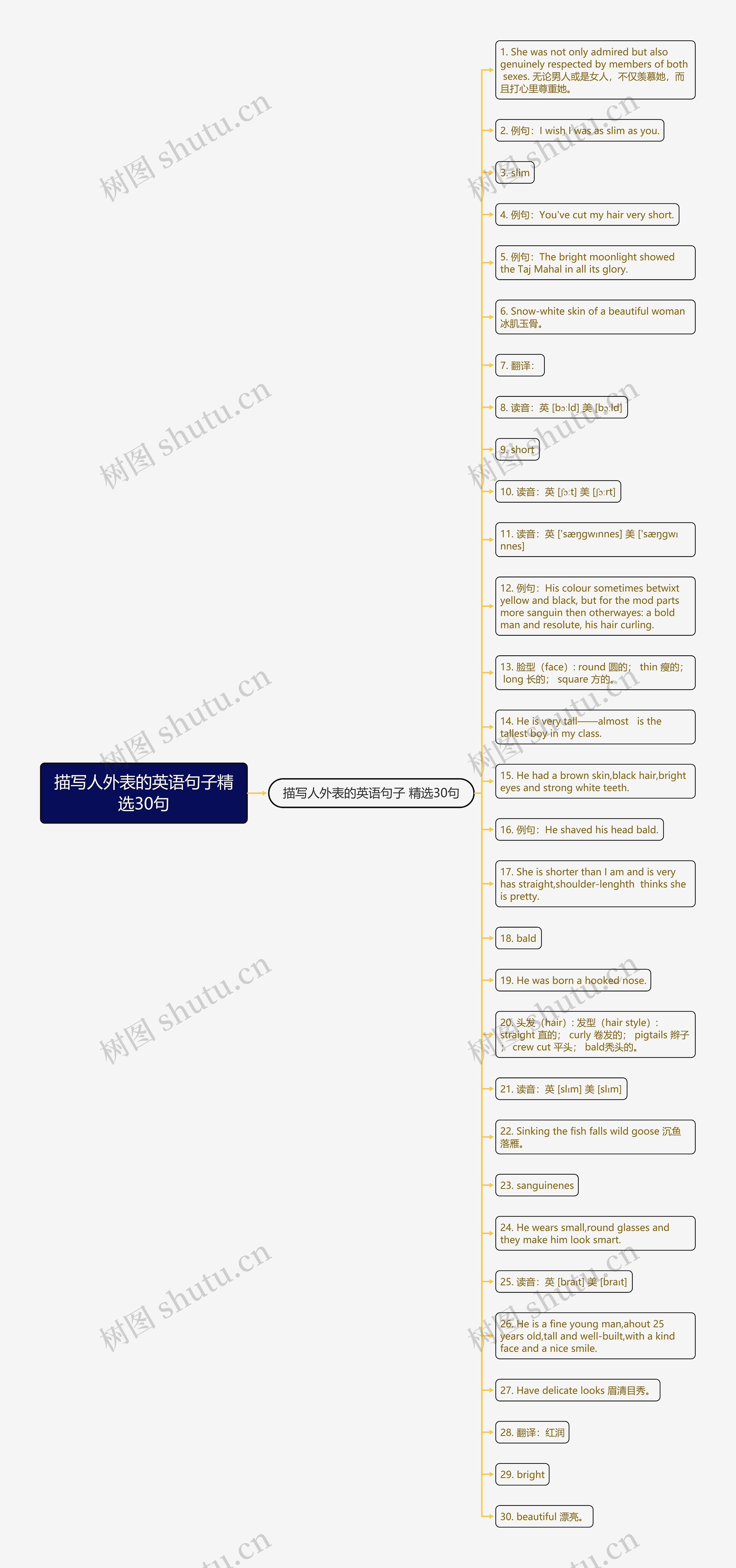 描写人外表的英语句子精选30句思维导图