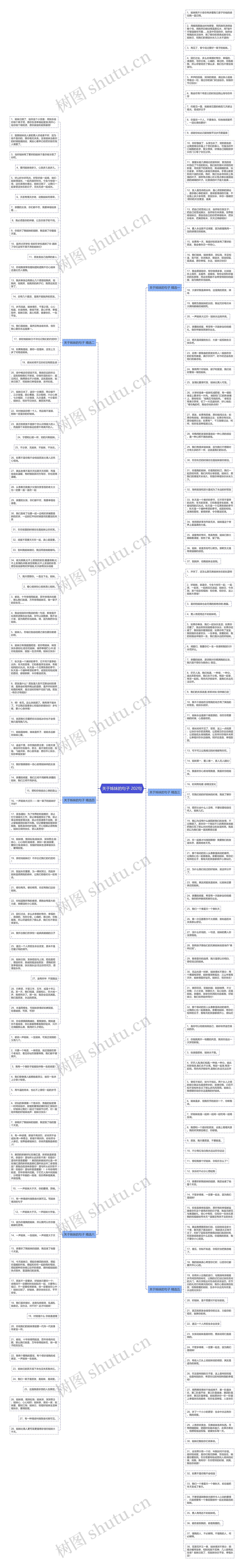 关于姊妹的句子 202句思维导图