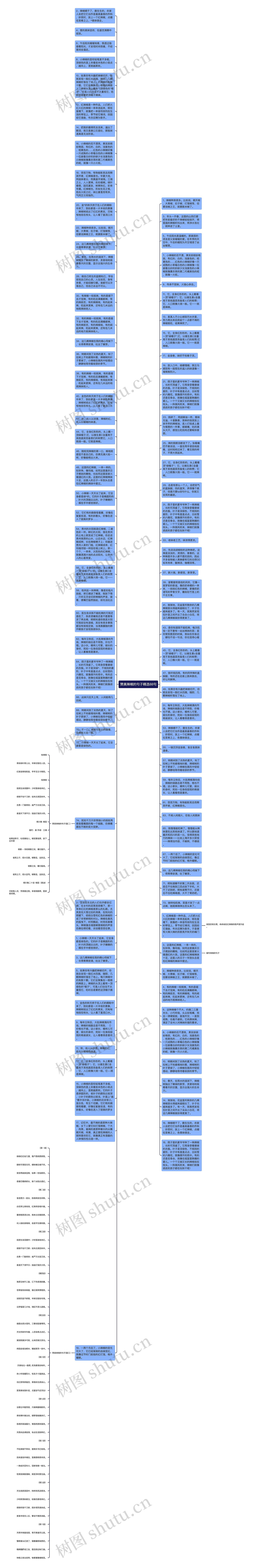 赞美辣椒的句子精选88句思维导图