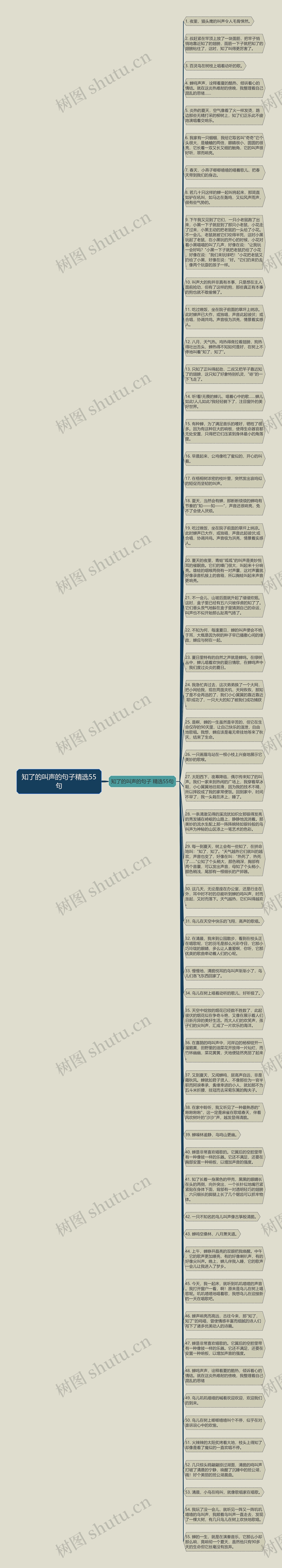 知了的叫声的句子精选55句思维导图