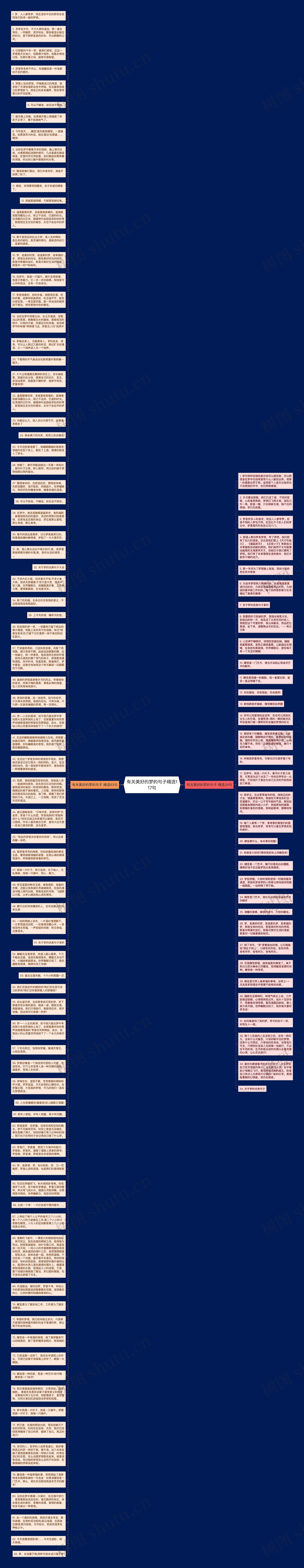 有关美好的梦的句子精选117句思维导图