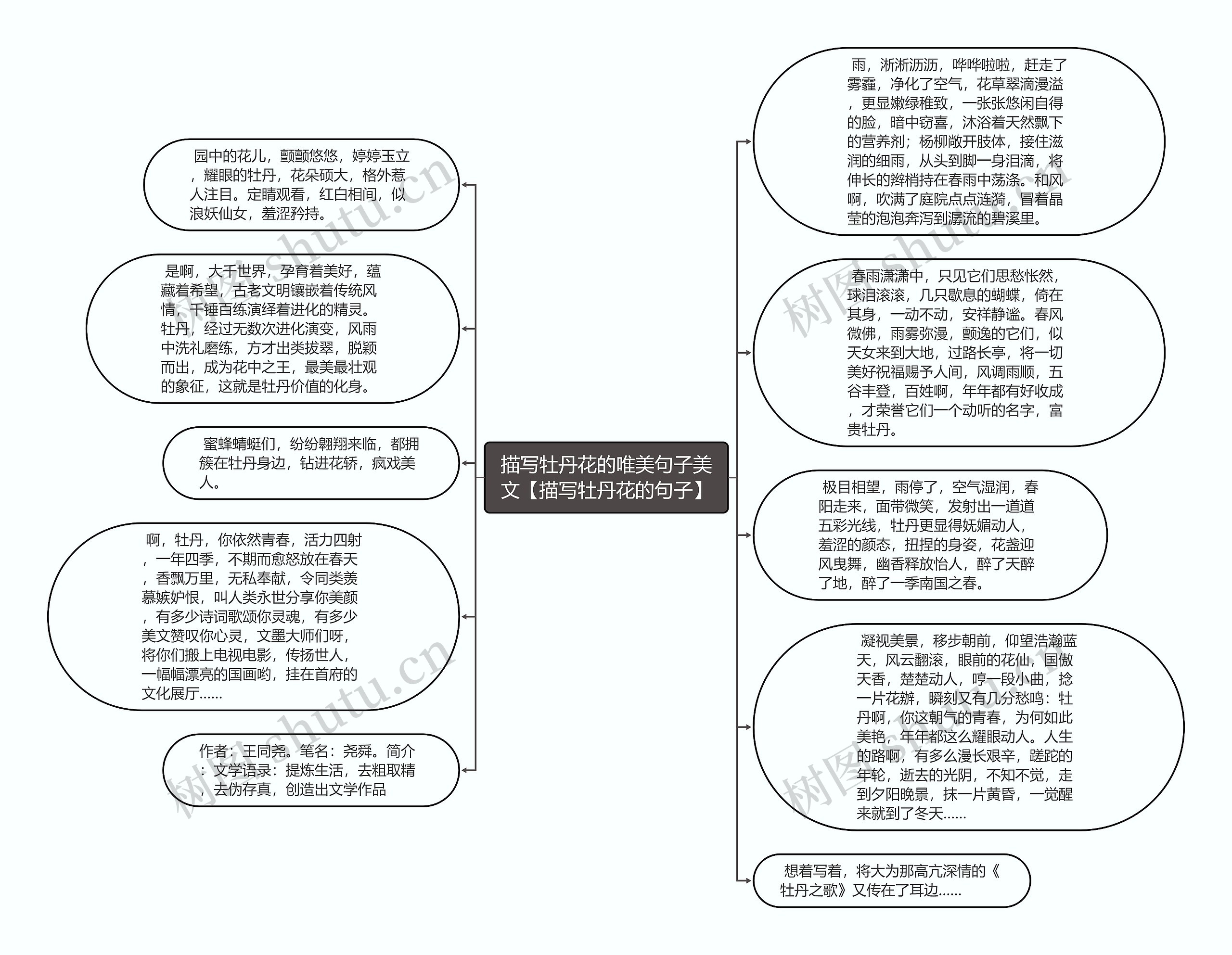 描写牡丹花的唯美句子美文【描写牡丹花的句子】思维导图