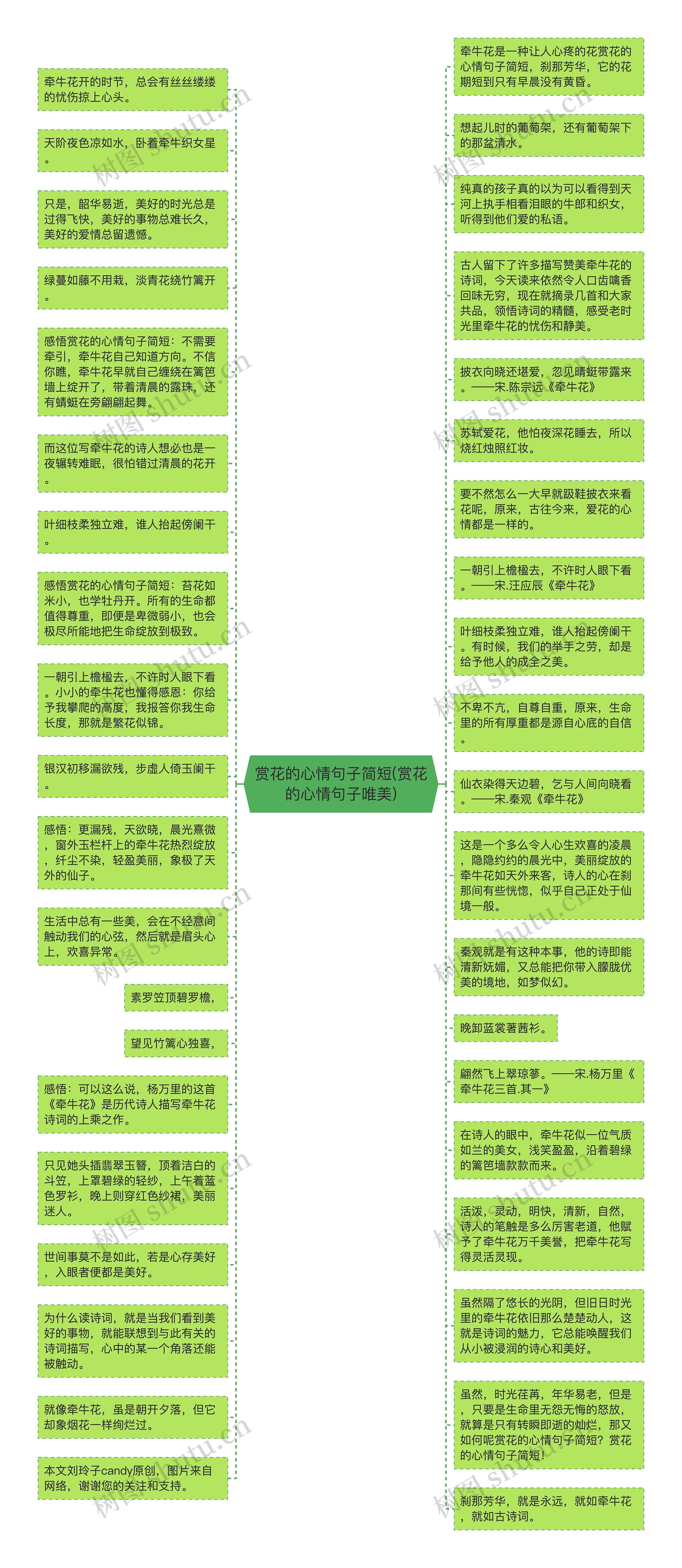 赏花的心情句子简短(赏花的心情句子唯美)思维导图