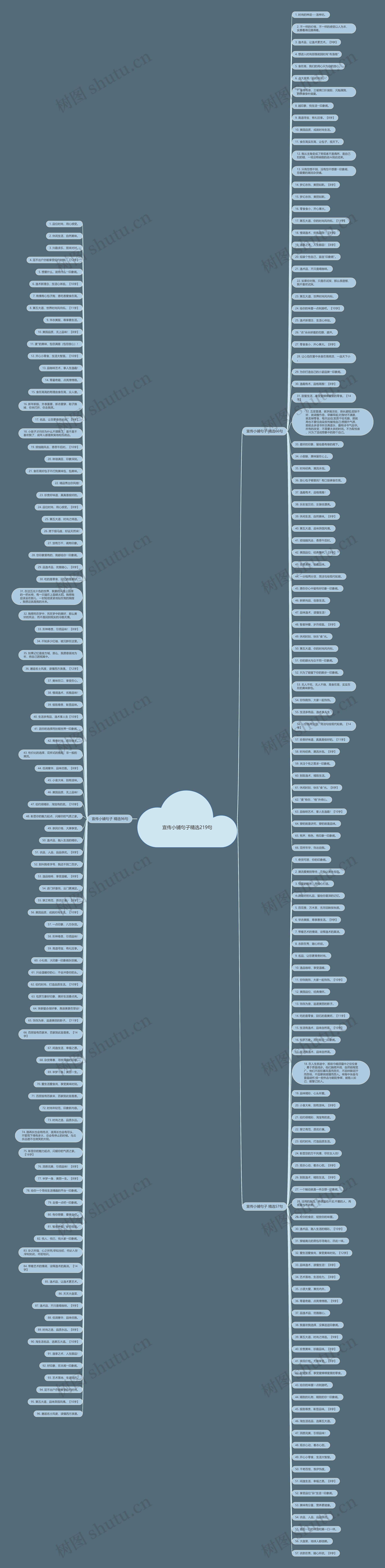 宣传小铺句子精选219句思维导图