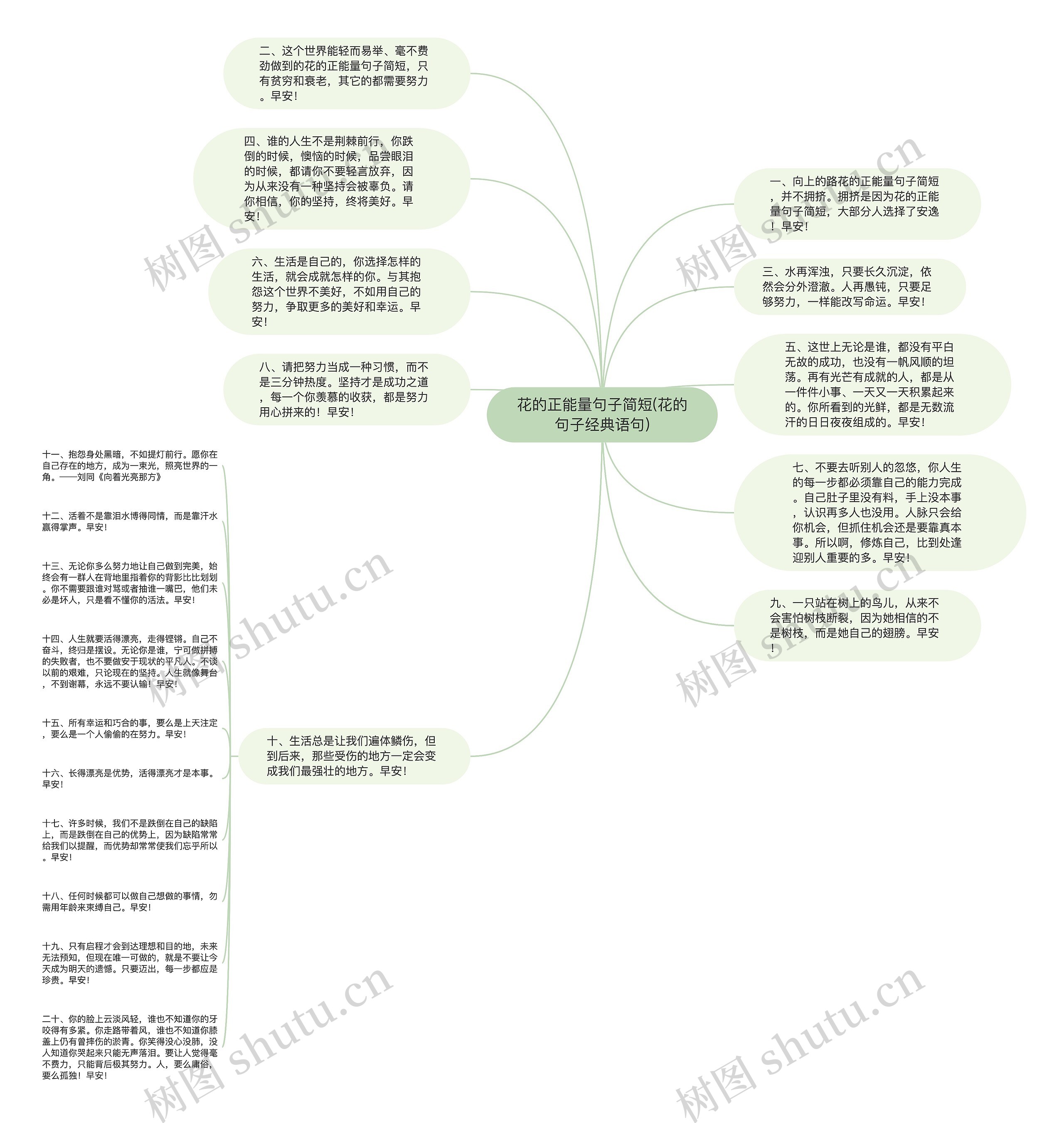 花的正能量句子简短(花的句子经典语句)思维导图