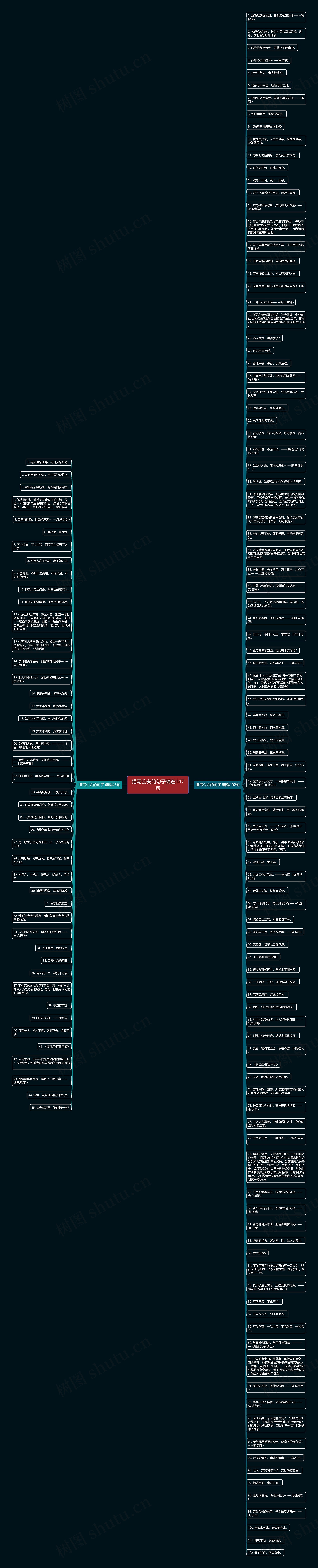 描写公安的句子精选147句思维导图