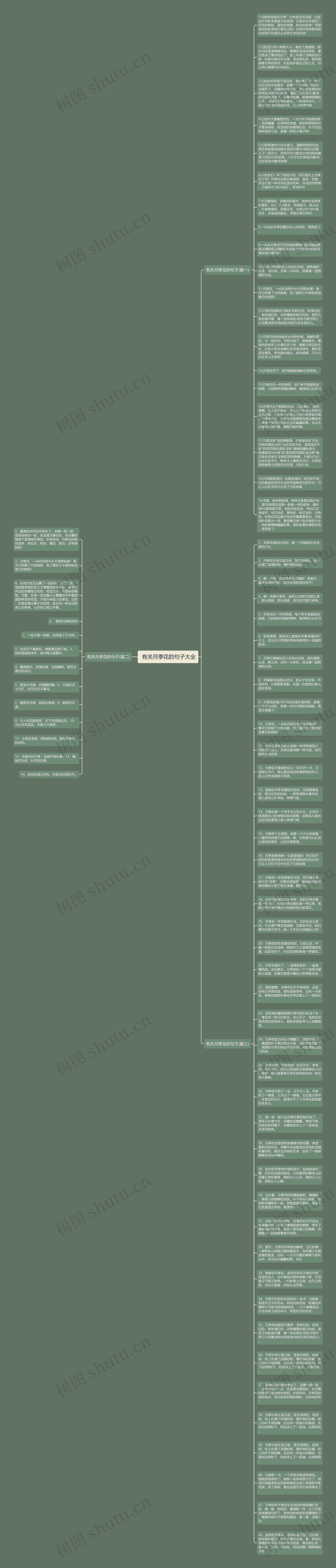  有关月季花的句子大全思维导图