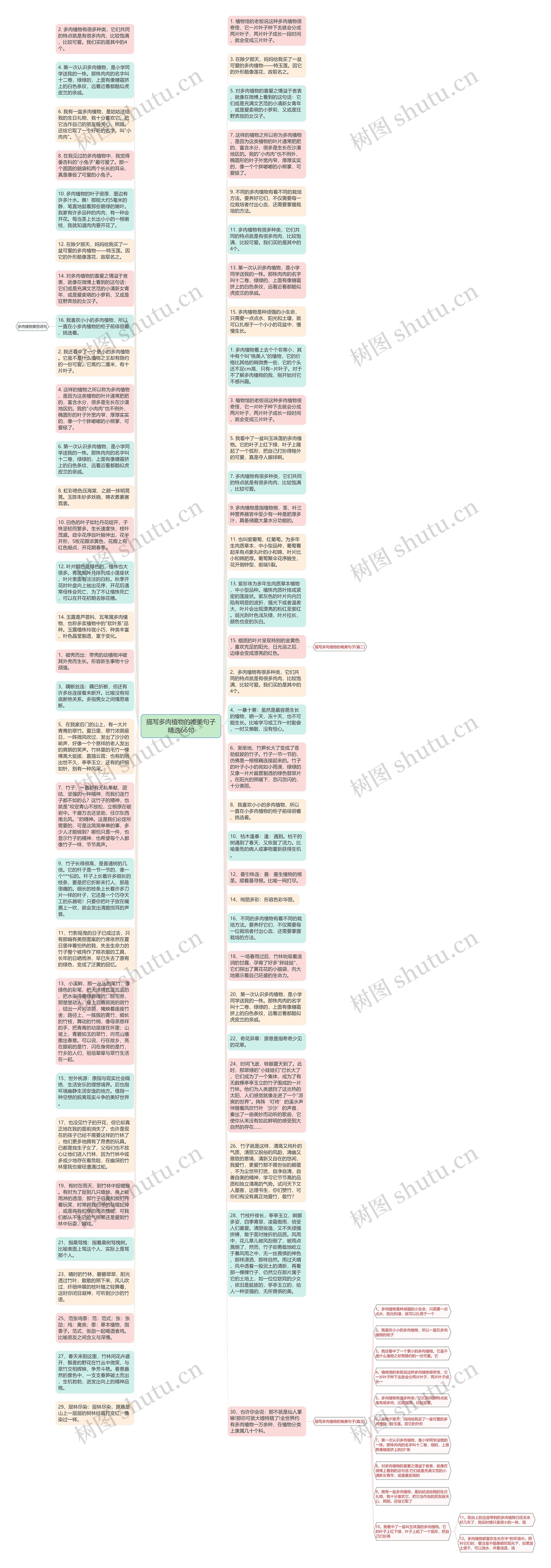 描写多肉植物的唯美句子精选66句思维导图