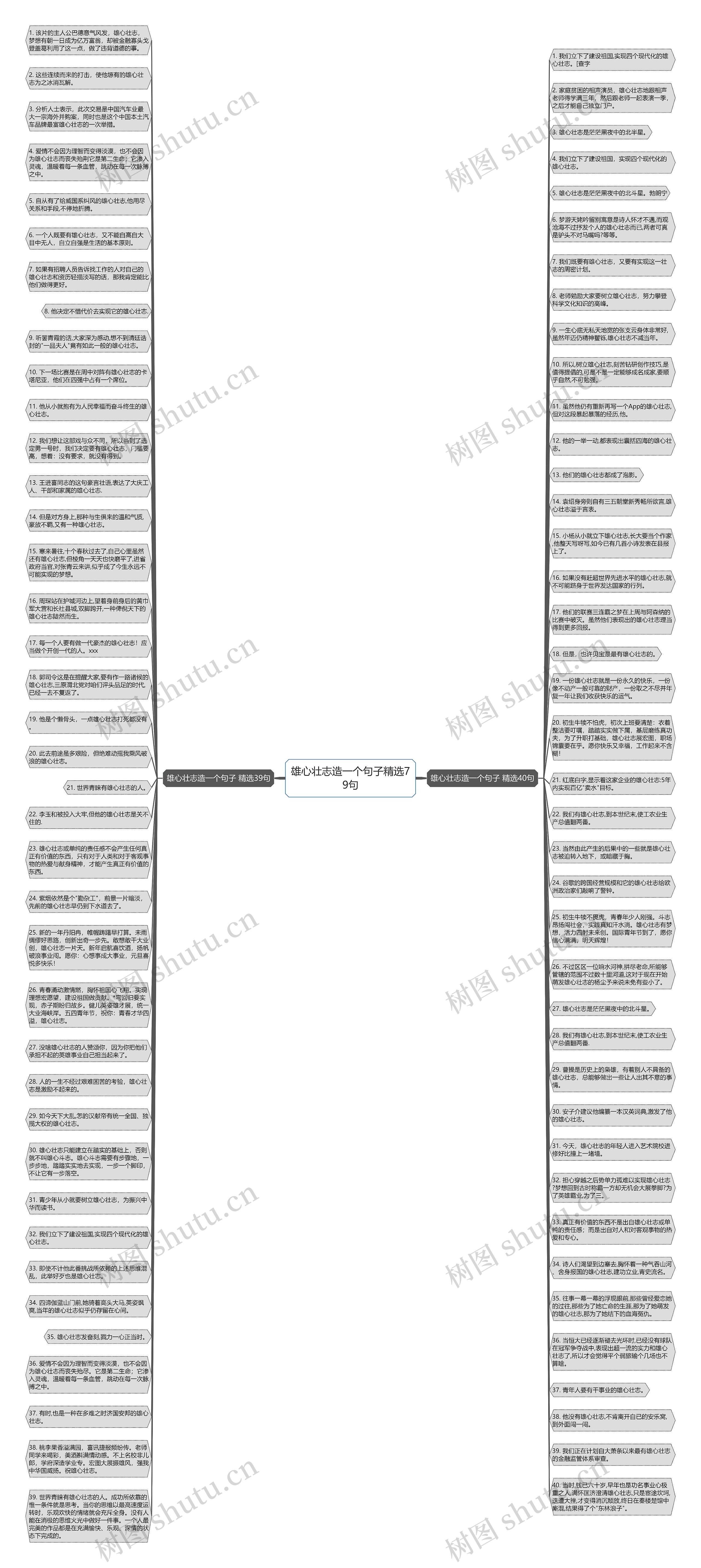 雄心壮志造一个句子精选79句思维导图