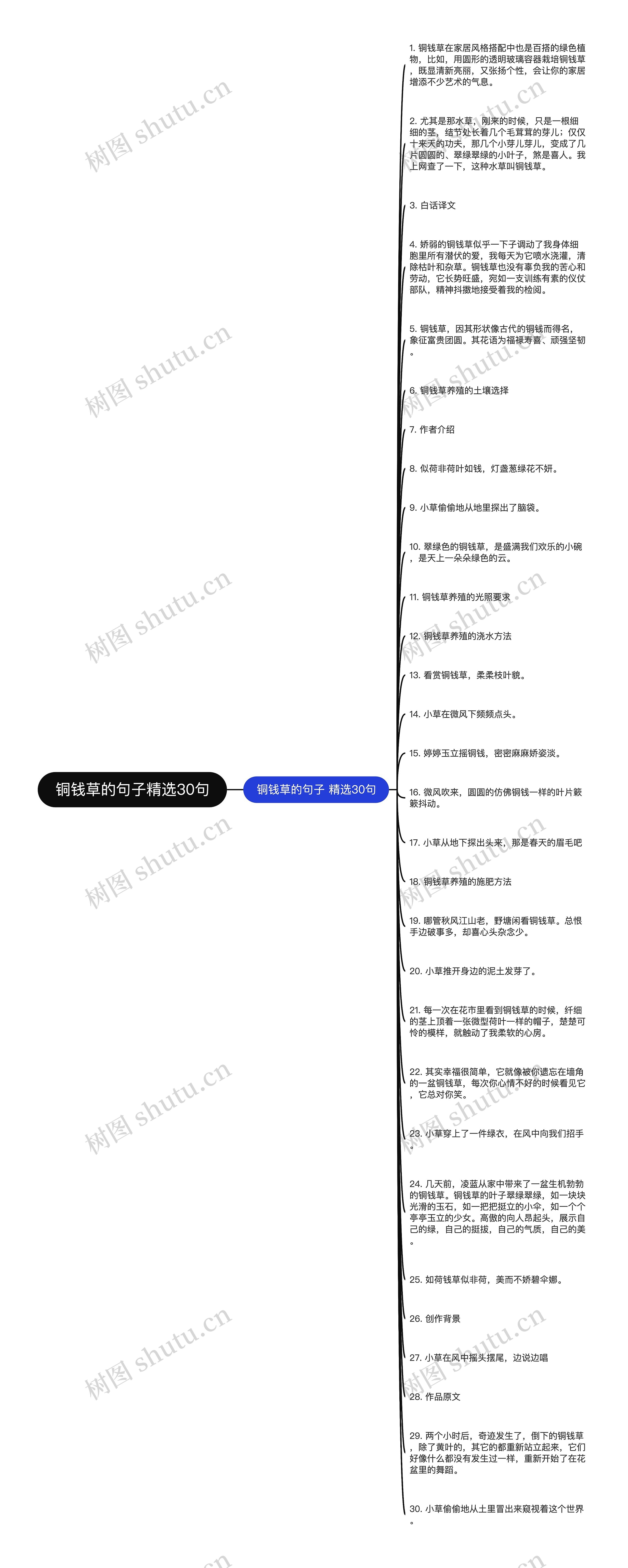 铜钱草的句子精选30句思维导图