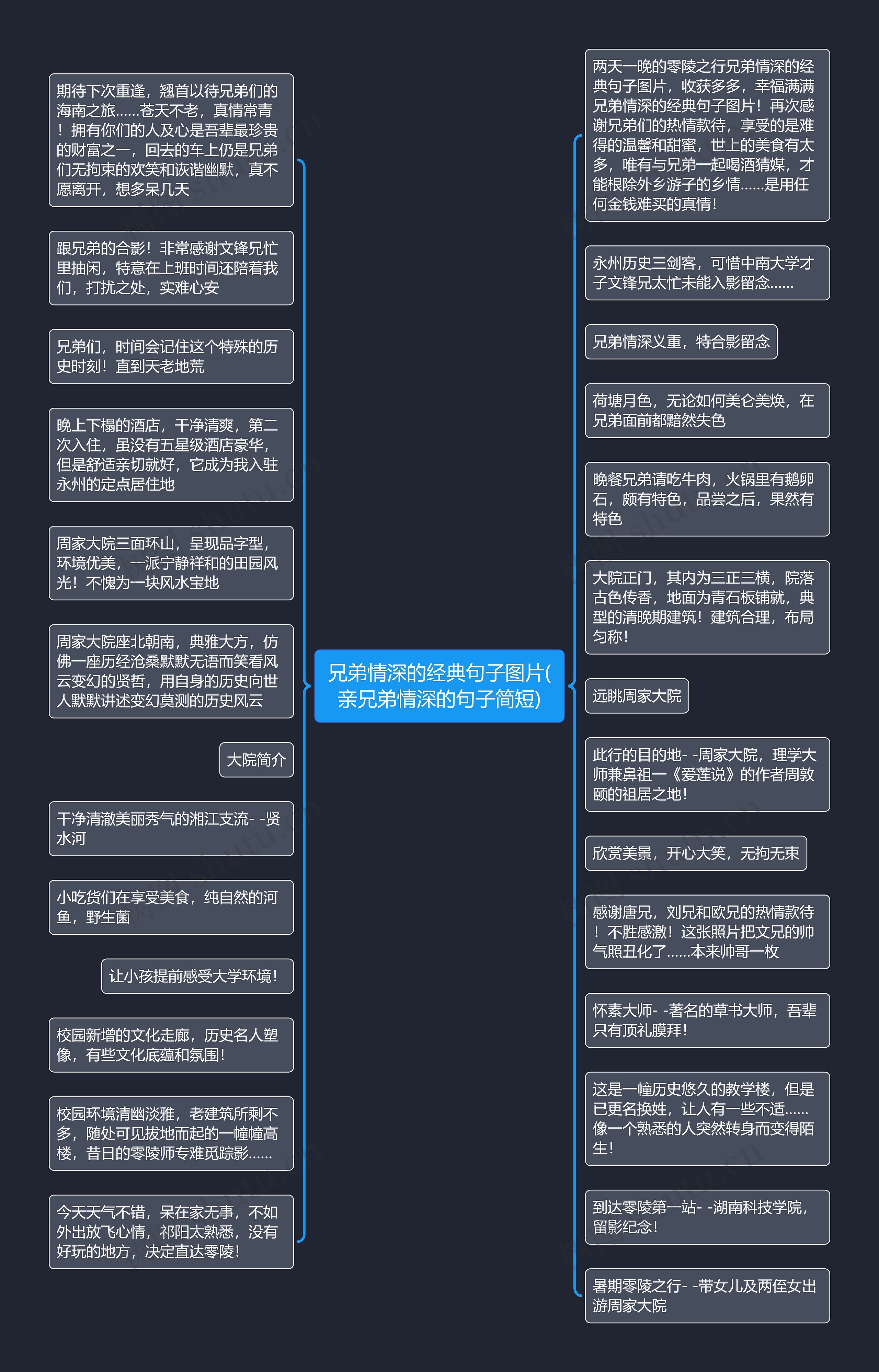 兄弟情深的经典句子图片(亲兄弟情深的句子简短)思维导图