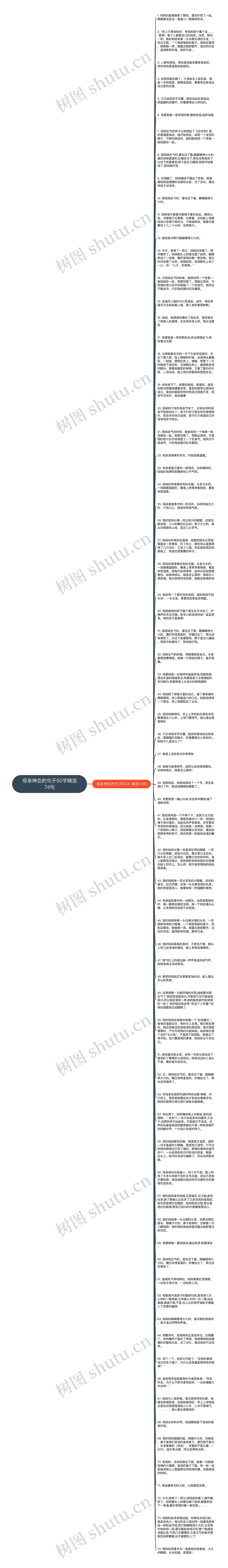 母亲神态的句子50字精选74句思维导图