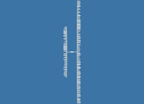 遵守家规的句子精选179句