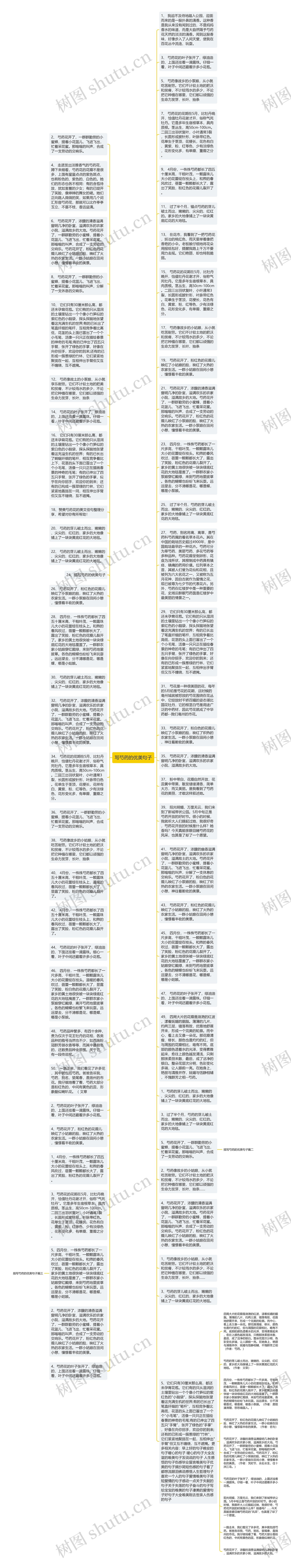 写芍药的优美句子思维导图