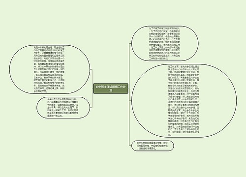 初中班主任试用期工作计划