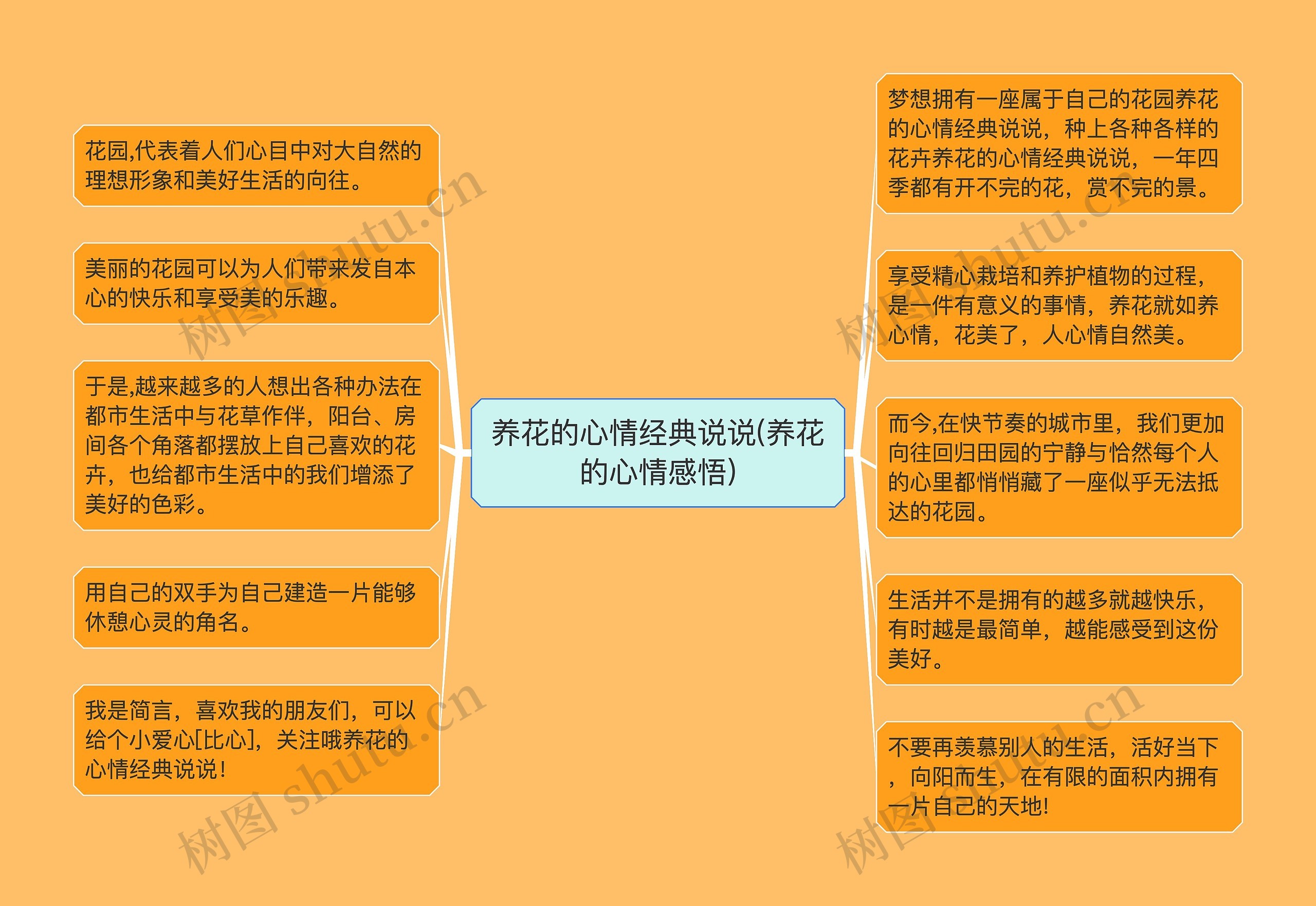 养花的心情经典说说(养花的心情感悟) 养花的心情经典说说(养花的心情感悟)