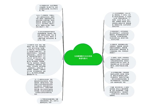 生活感悟图片(2020年经典语句图片)