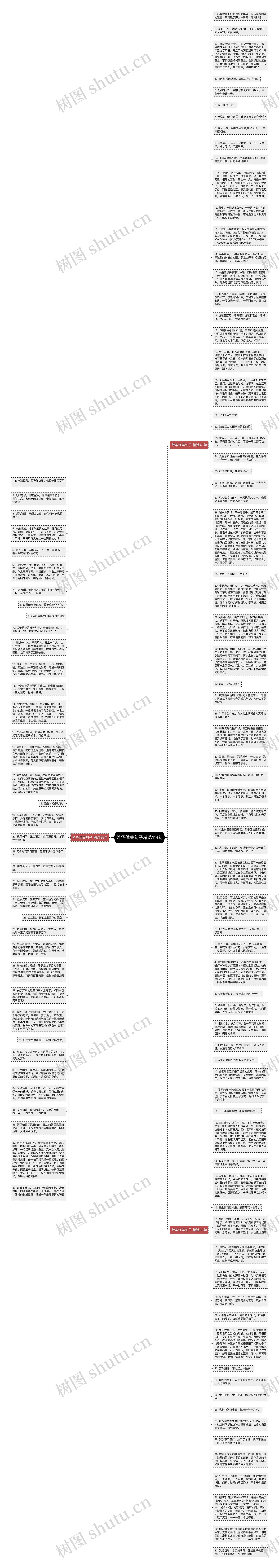 芳华优美句子精选114句思维导图