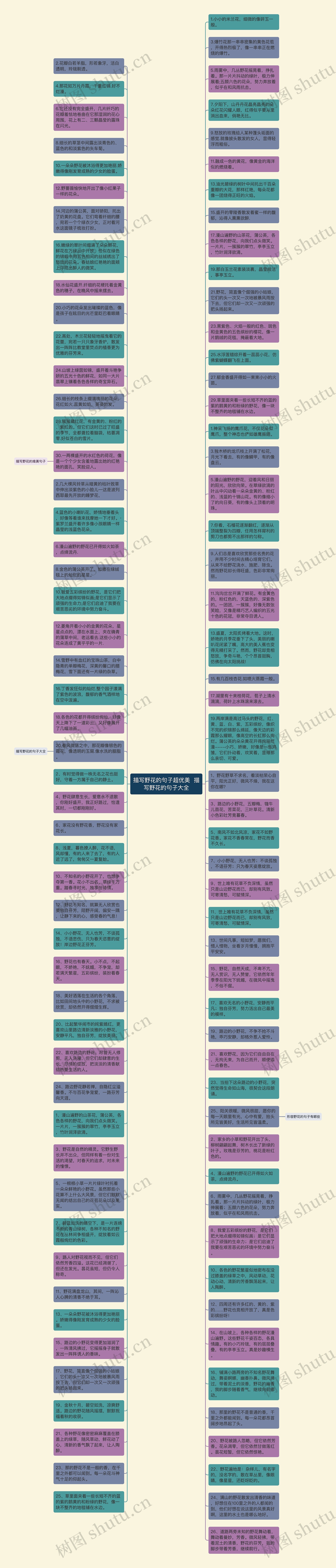 描写野花的句子超优美  描写野花的句子大全思维导图