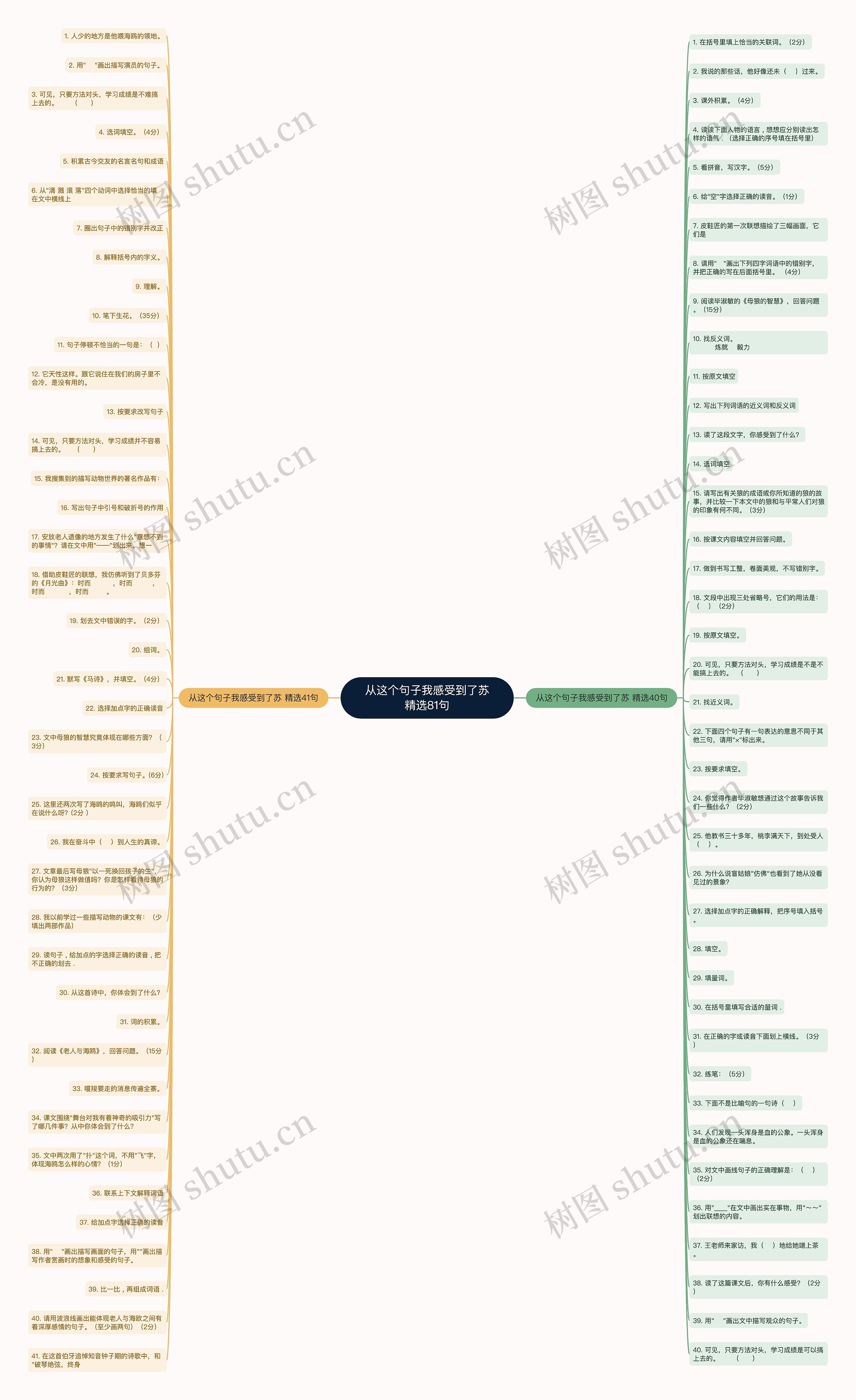 从这个句子我感受到了苏精选81句思维导图