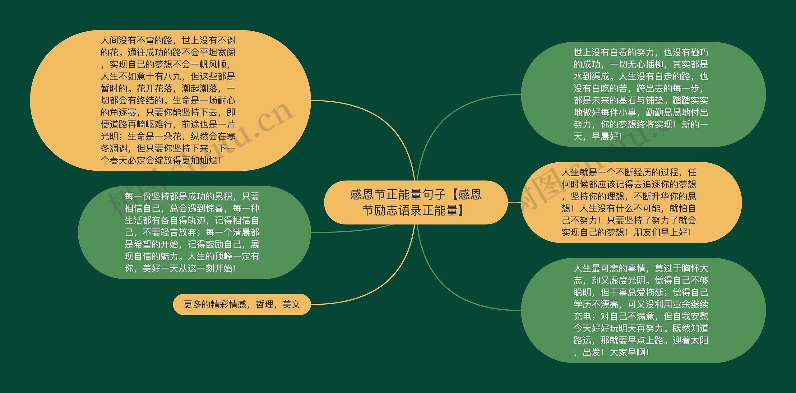 感恩节正能量句子【感恩节励志语录正能量】