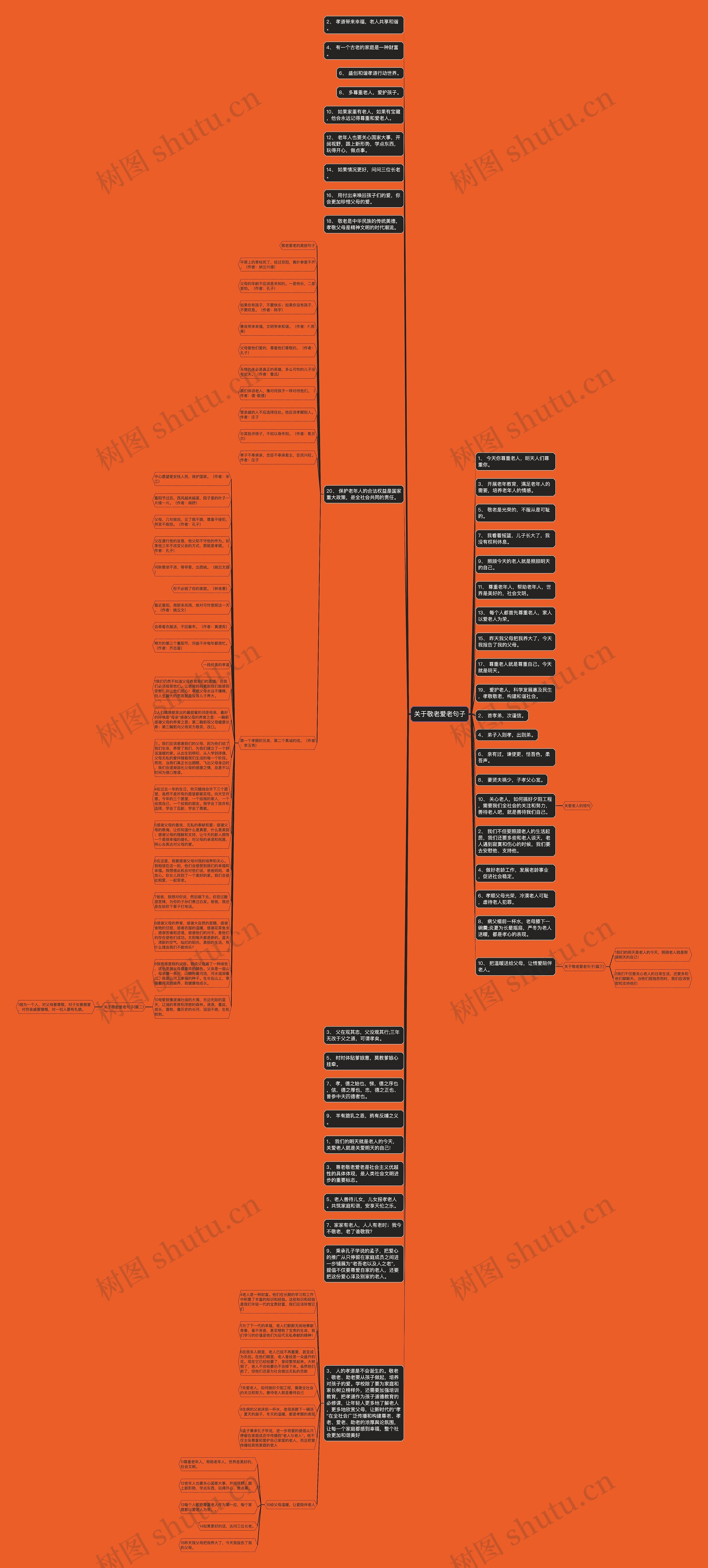 关于敬老爱老句子思维导图