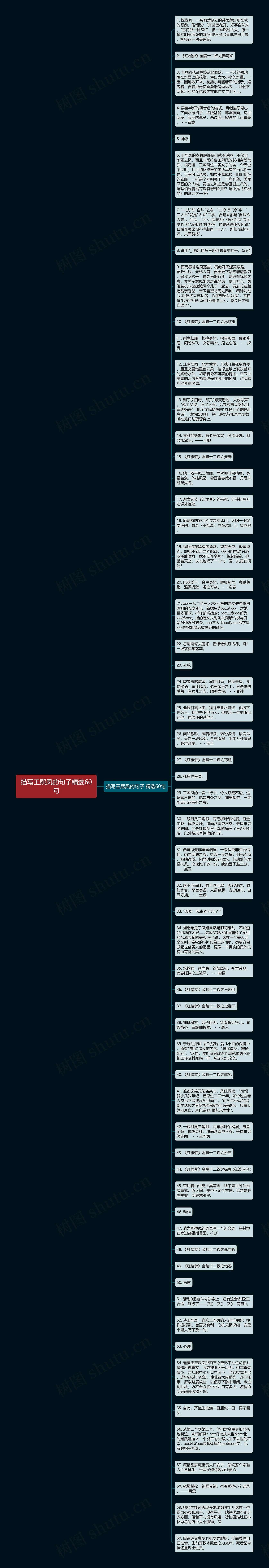 描写王熙凤的句子精选60句思维导图