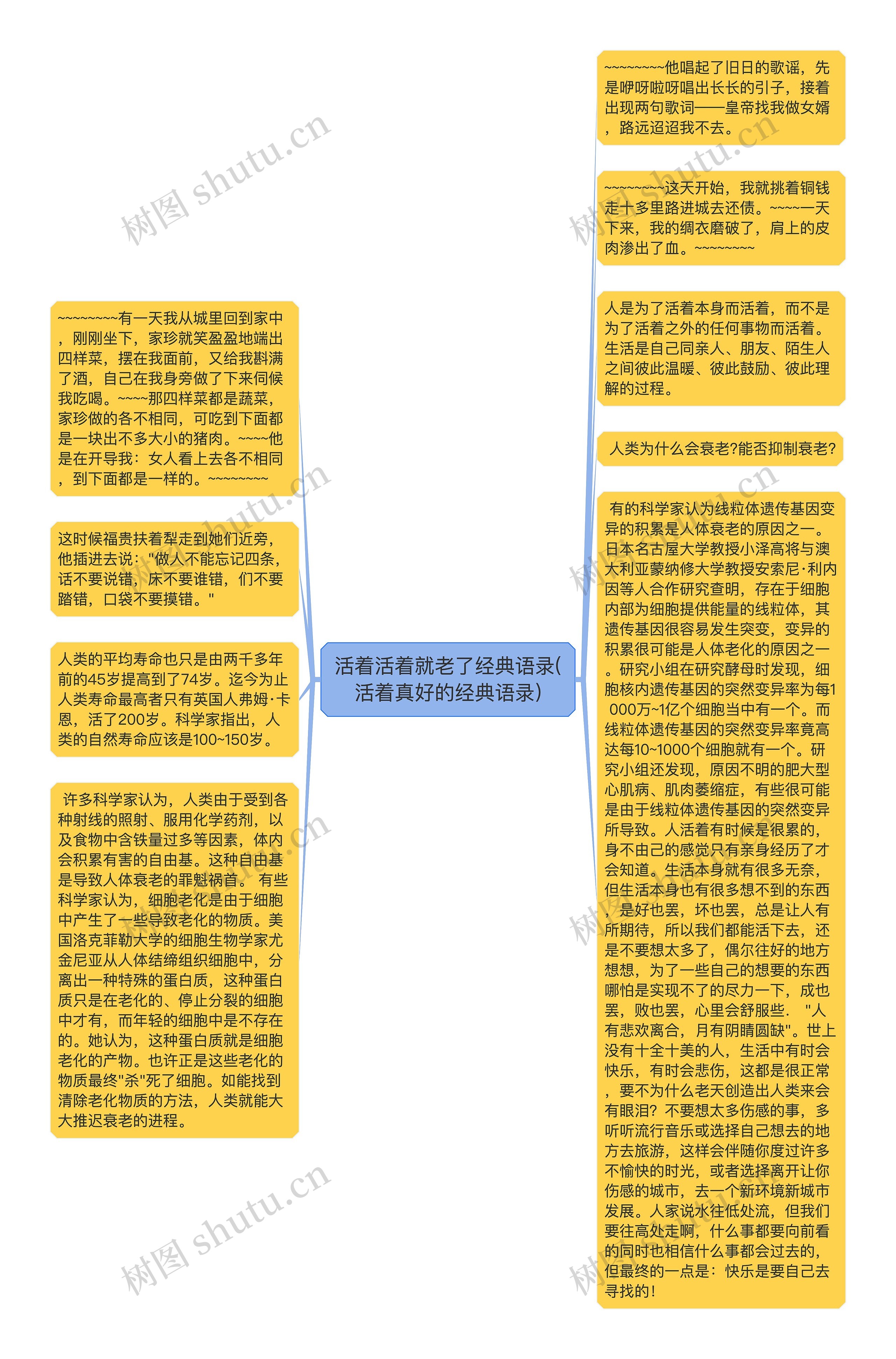 活着活着就老了经典语录(活着真好的经典语录)思维导图