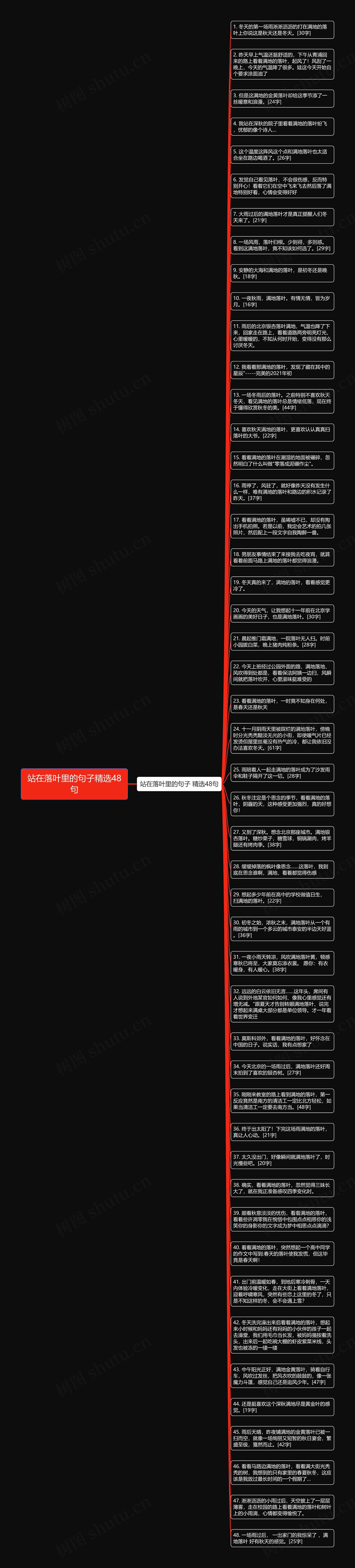 站在落叶里的句子精选48句思维导图