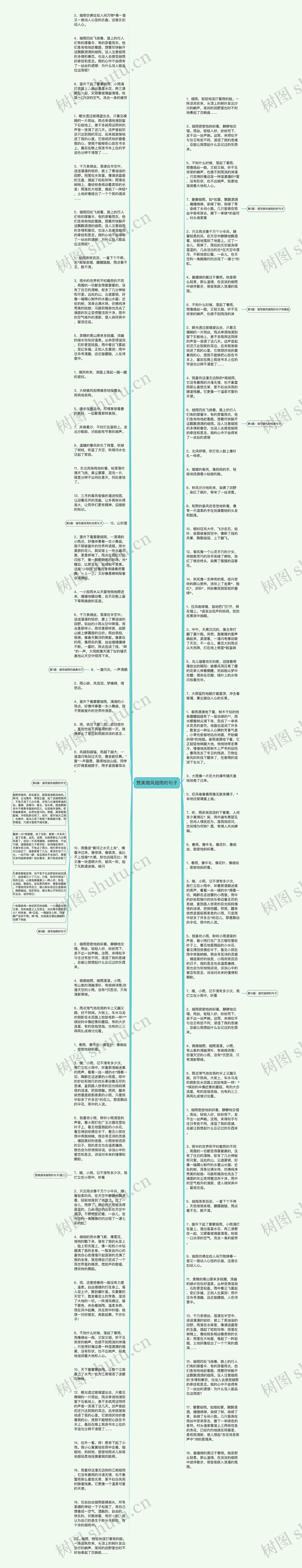 赞美微风细雨的句子思维导图