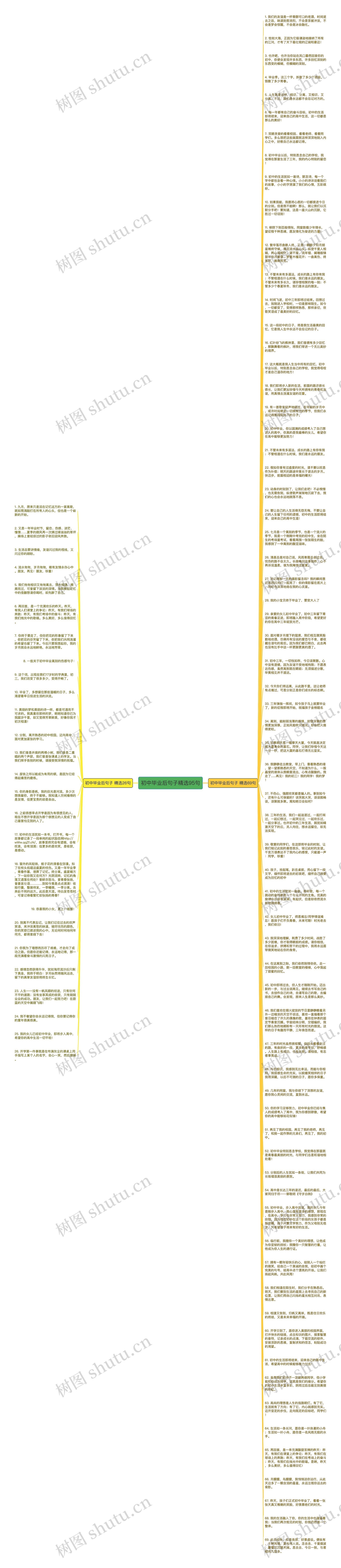 初中毕业后句子精选95句