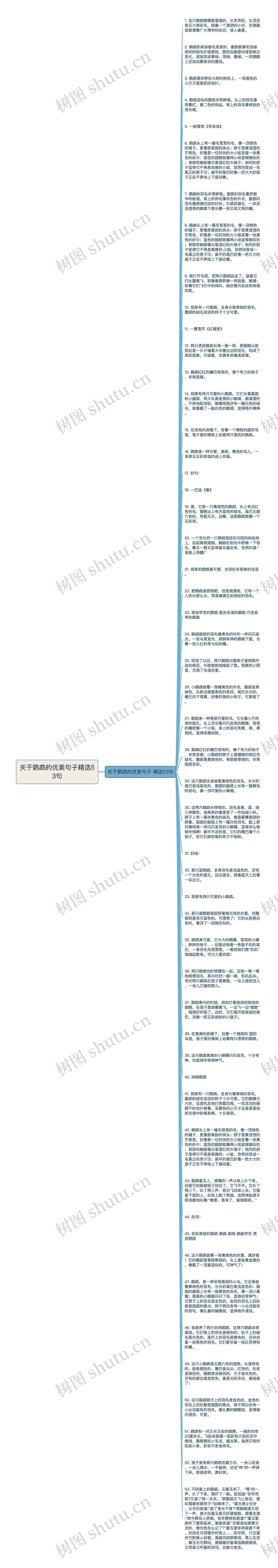 关于鹦鹉的优美句子精选53句思维导图