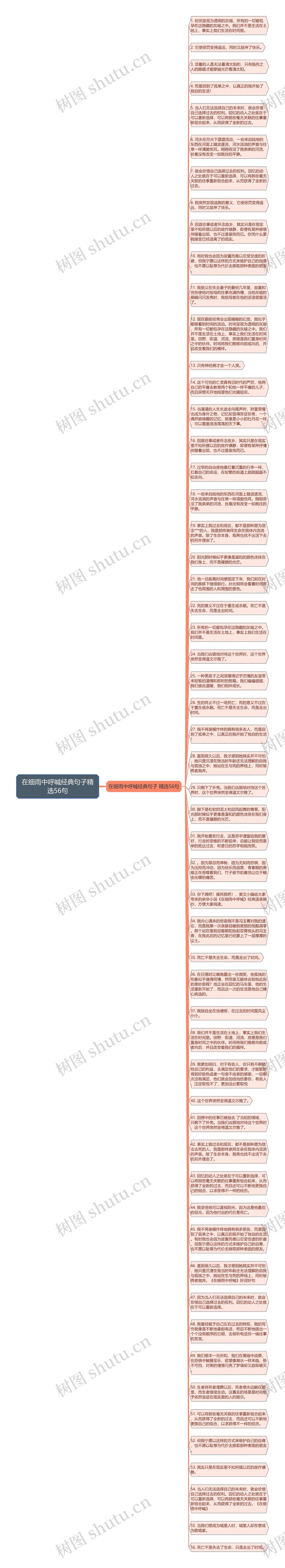 在细雨中呼喊经典句子精选56句思维导图