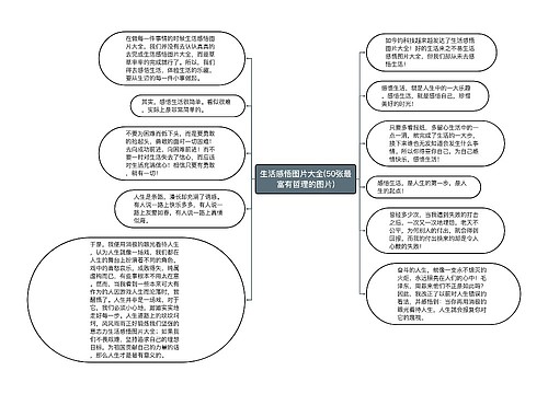 生活感悟图片大全(50张最富有哲理的图片)