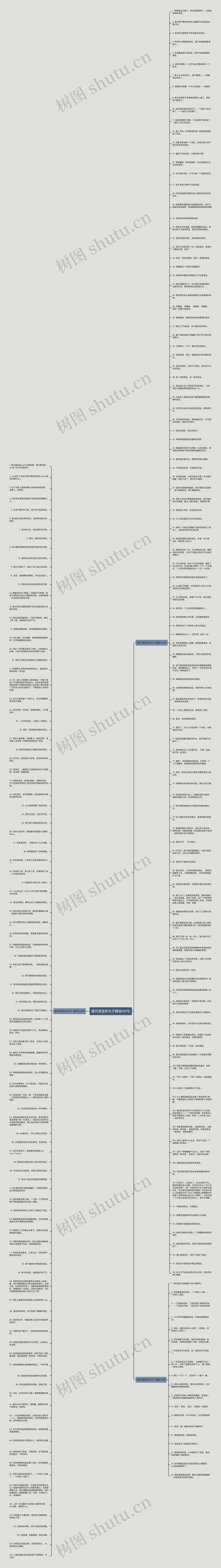 面对谎言的句子精选241句思维导图