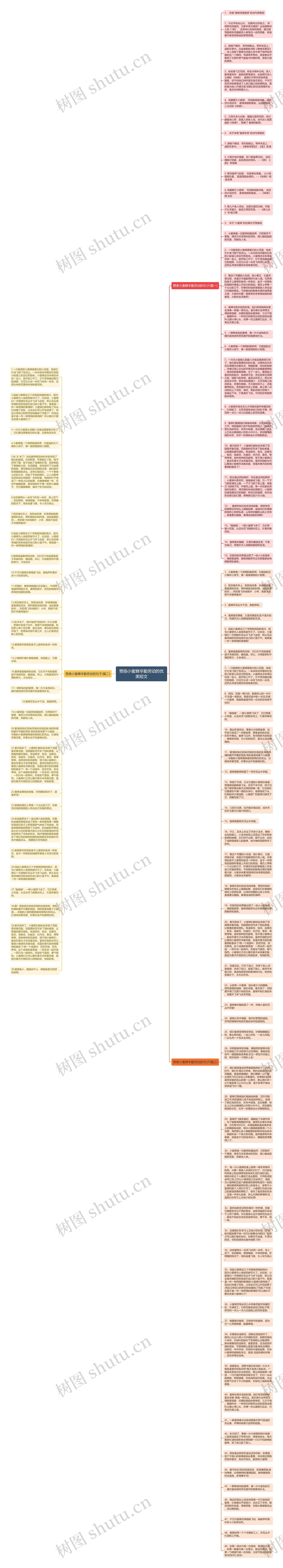 赞扬小蜜蜂辛勤劳动的优美短文思维导图