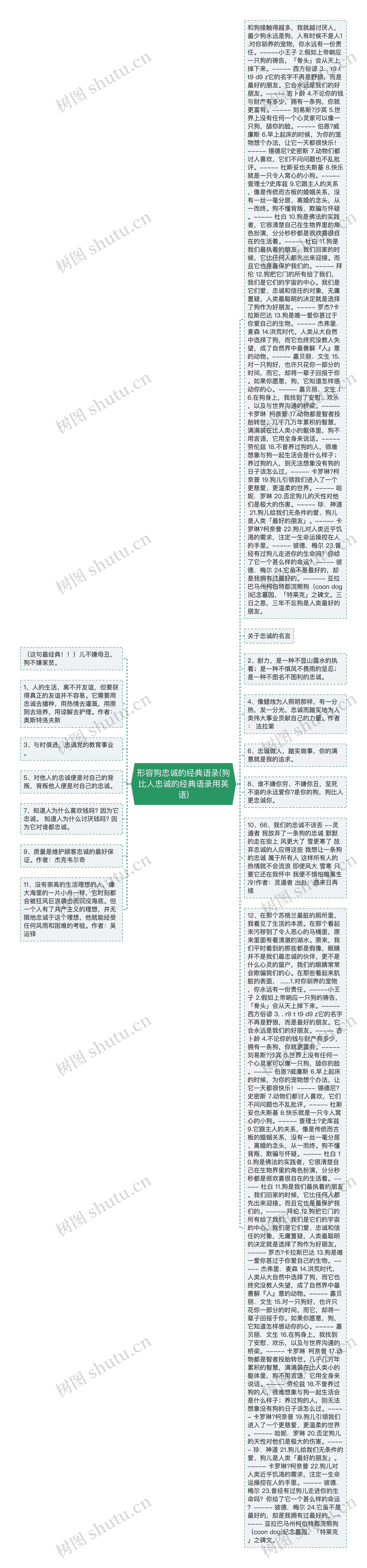 形容狗忠诚的经典语录(狗比人忠诚的经典语录用英语)