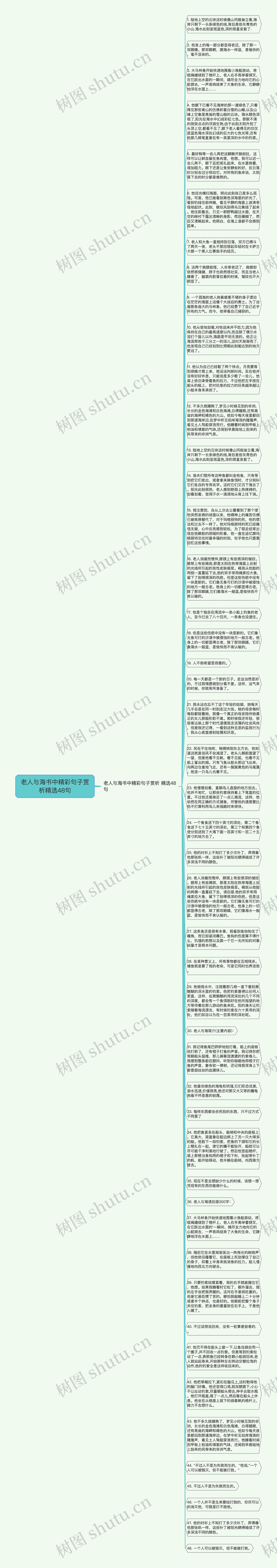 老人与海书中精彩句子赏析精选48句思维导图