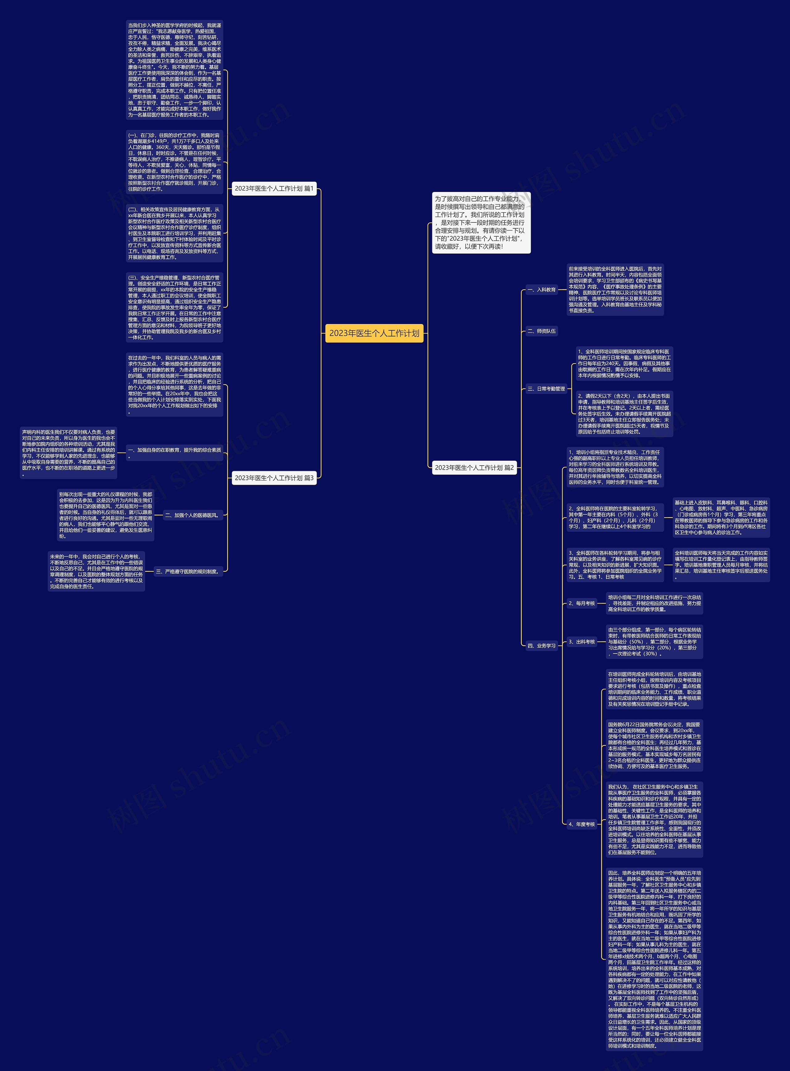 2023年医生个人工作计划思维导图